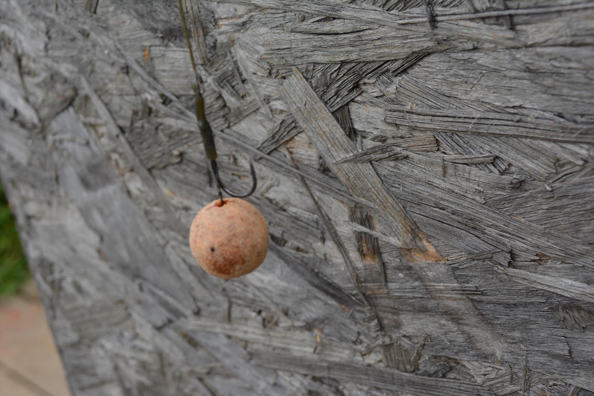 Magura 9 14-15.06.14 - dsc034411.JPG